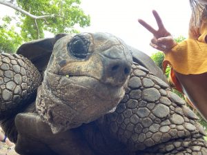 Екскурсії на Занзібарі 