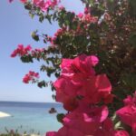 Туры в Шарм-эль-Шейх