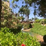 Шарм-ель-Шейх