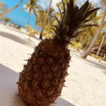 Горячие туры в Доминикану